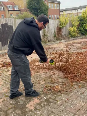 Seese Pro Blower Review