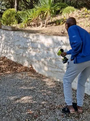Seese Pro Blower Reviews